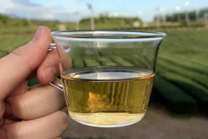 Скільки кофеїну міститься в зеленому чаю? Є зеленим чаєм корисним? Скільки кофеїну міститься в зеленому чаю? Є зеленим чаєм корисним?